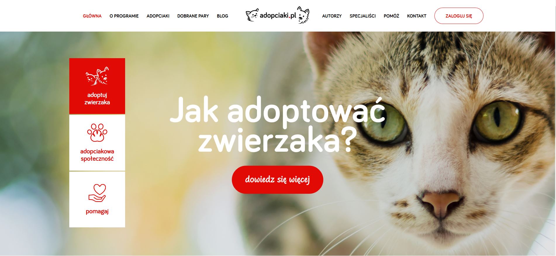 Adopciaki widok desktopowy